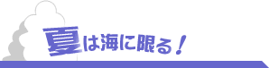 �Ă͊C�Ɍ���I