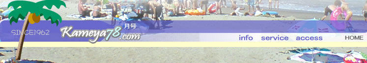 �C�̉ƃJ����